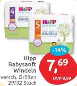 Budni Hipp Babysanft Windeln Angebot