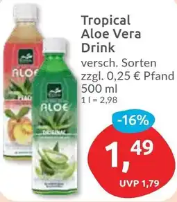 Budni Tropical Aloe Vera Drink Angebot