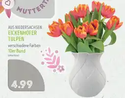 Edeka Struve AUS NIEDERSACHSEN EICKENHOFER TULPEN Angebot