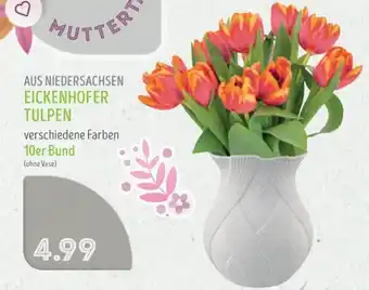 Edeka Struve AUS NIEDERSACHSEN EICKENHOFER TULPEN Angebot
