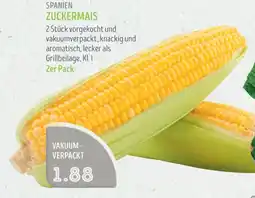 Edeka Struve SPANIEN ZUCKERMAIS Angebot