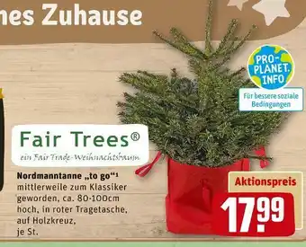 REWE Fair trees nordmanntanne „to go“ Angebot