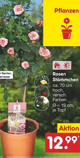 Netto Marken-Discount Rosen Stämmchen Angebot