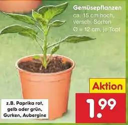 Netto Marken-Discount Gemüsepflanzen Angebot