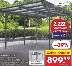 Netto Marken-Discount Carport, 5 x 3 m Angebot