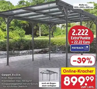 Netto Marken-Discount Carport, 5 x 3 m Angebot