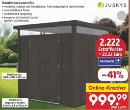 Netto Marken-Discount JJUSKYS Gerätehaus Luzern Pro Angebot