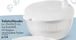 TEDi Salatschleuder Angebot