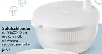 TEDi Salatschleuder Angebot