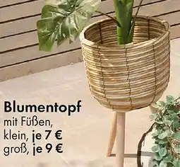 TEDi Blumentopf Angebot