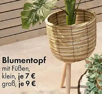 TEDi Blumentopf Angebot