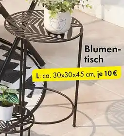 TEDi Blumentisch Angebot