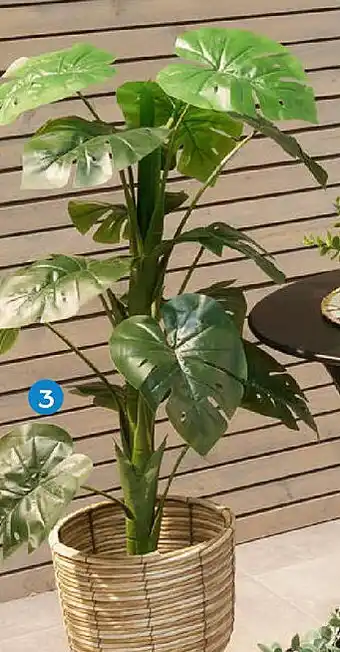 TEDi Kunstblume im Topf Angebot