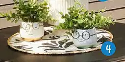 TEDi Kunstblume im Topf Angebot