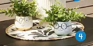 TEDi Kunstblume im Topf Angebot