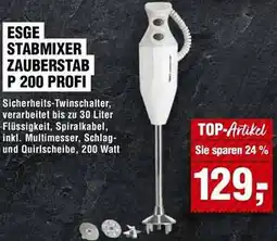 Handelshof Esge stabmixer zauberstab p 200 profi Angebot