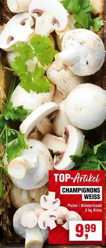 Handelshof Champignons weiss Angebot