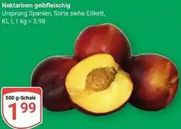 Globus Nektarinen gelbfleischig Angebot