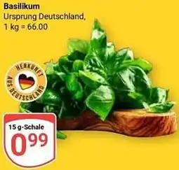 Globus Basilikum Angebot