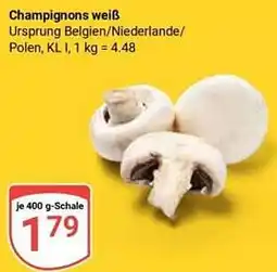 Globus Champignons weiß Angebot