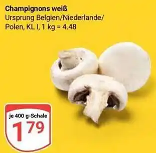 Globus Champignons weiß Angebot