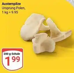 Globus Austernpilze Angebot