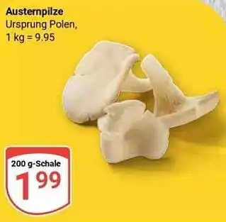 Globus Austernpilze Angebot