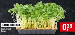 Handelshof Gartenkresse Angebot