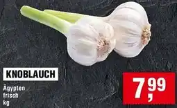 Handelshof Knoblauch Angebot