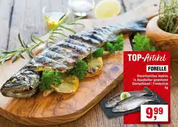 Handelshof Forelle Angebot
