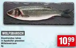 Handelshof Wolfsbarsch Angebot