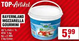 Handelshof Bayernland mozzarella gourmini Angebot