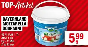 Handelshof Bayernland mozzarella gourmini Angebot