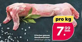 NETTO Frisches ganzes hauskaninchen Angebot