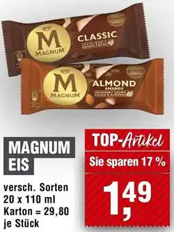 Handelshof Magnum eis Angebot