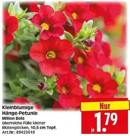 Wreesmann Kleinblumige Hänge-Petunie Million Bells Angebot