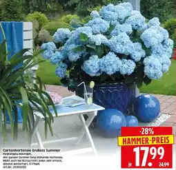 Wreesmann Gartenhortensie Endless Summer Hydrangea macroph. Angebot