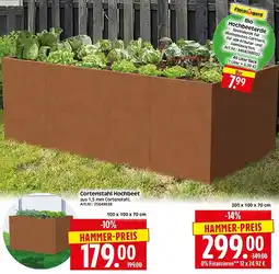 Wreesmann Cortenstahl Hochbeet Angebot