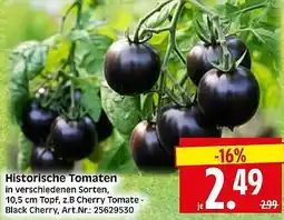 Wreesmann Historische Tomaten Angebot