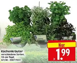 Wreesmann Küchenkräuter Angebot