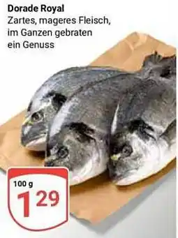 Globus Dorade Royal Angebot