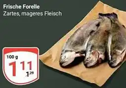 Globus Frische Forelle Angebot