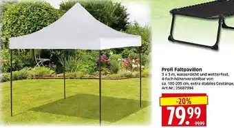 Wreesmann Profi Faltpavillon Angebot