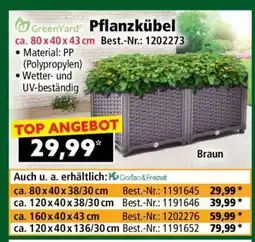 Norma Pflanzkübel Angebot