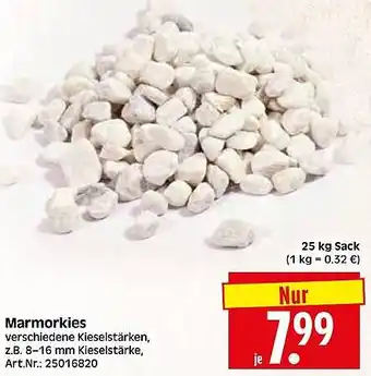Wreesmann Marmorkies Angebot