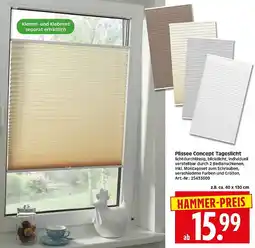 Wreesmann Plissee Concept Tageslicht Angebot