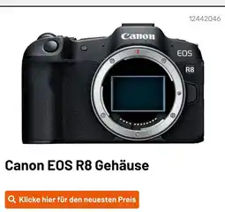 Kamera Express Canon eos r8 gehäuse Angebot