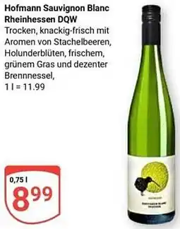 Globus Hofmann Sauvignon Blanc Rheinhessen DQW Angebot