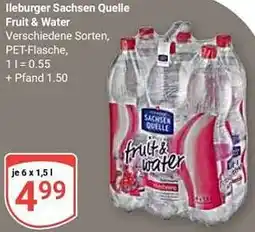 Globus lleburger Sachsen Quelle Fruit & Water Angebot