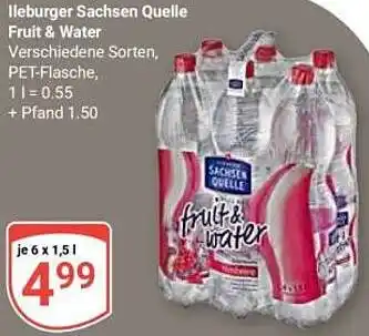 Globus lleburger Sachsen Quelle Fruit & Water Angebot